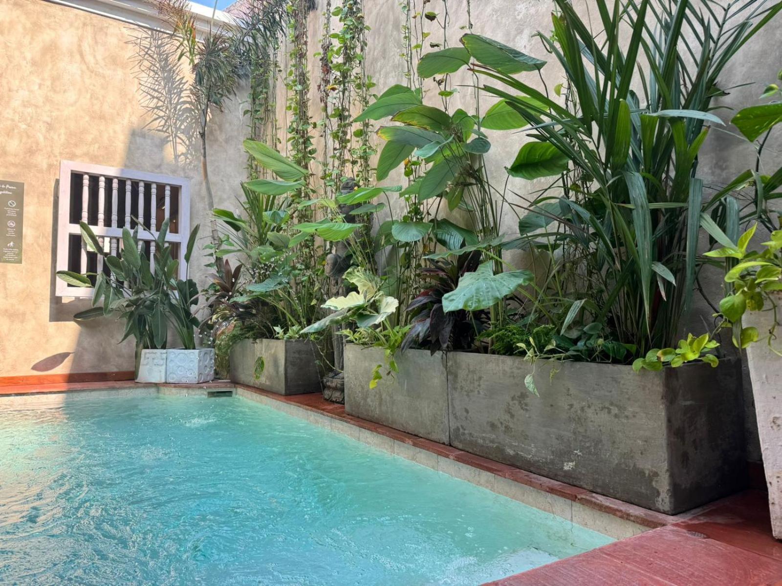 Moet Cartagena Hotel Boutique Adutls Only מראה חיצוני תמונה